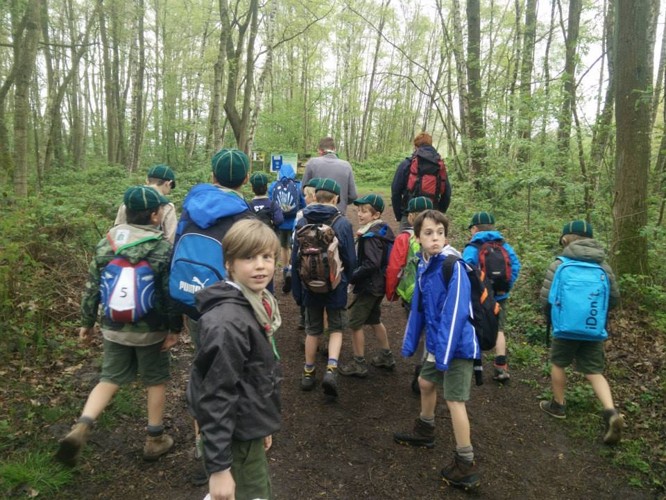 Sint-Martinus den XIIde - Welpen Hollandsveld April mei